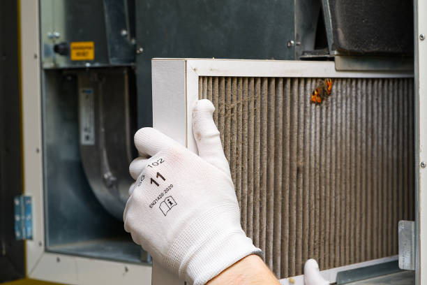 Best Air Duct Cleaning Cost  in Newport, AR
