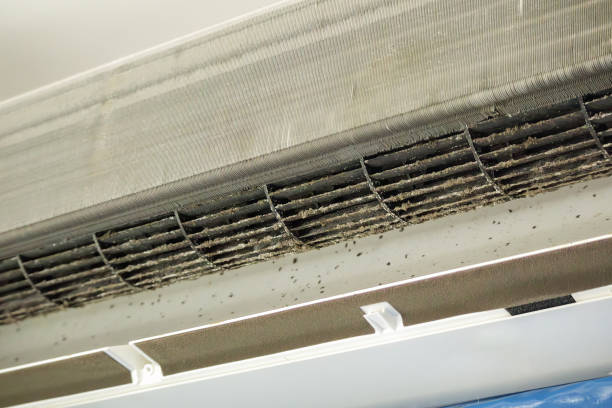 Best Duct Cleaning Specialists  in Newport, AR